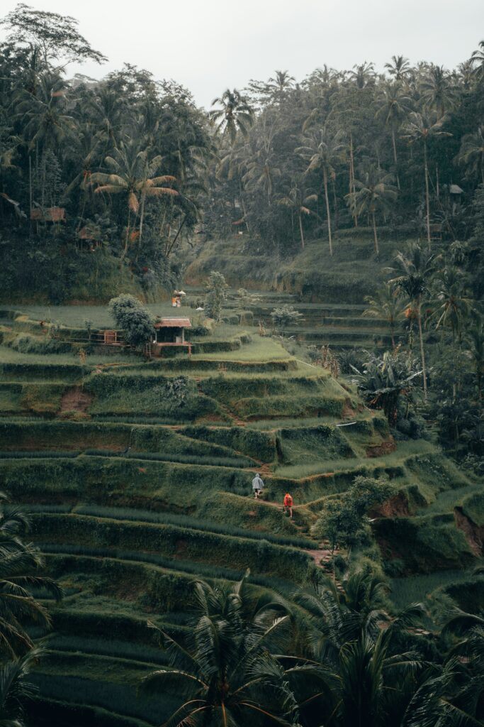 Bali Southeast Asia best time to visit