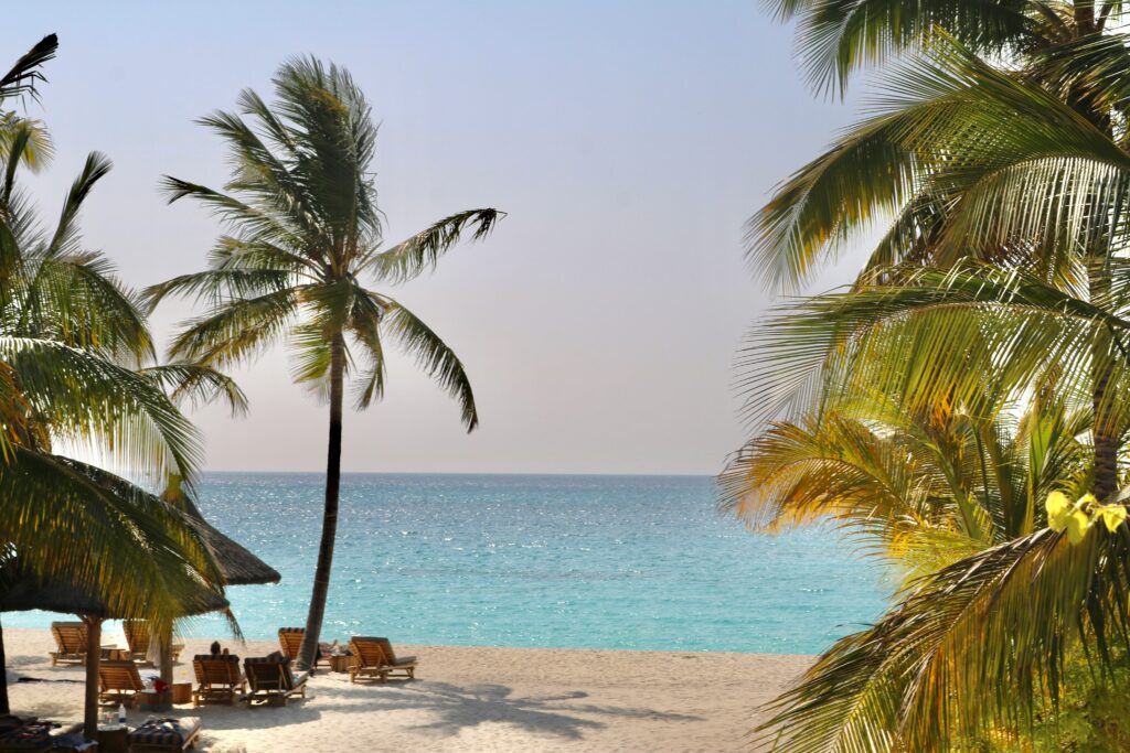 Tanzania Zanzibar trip beach palm trees
