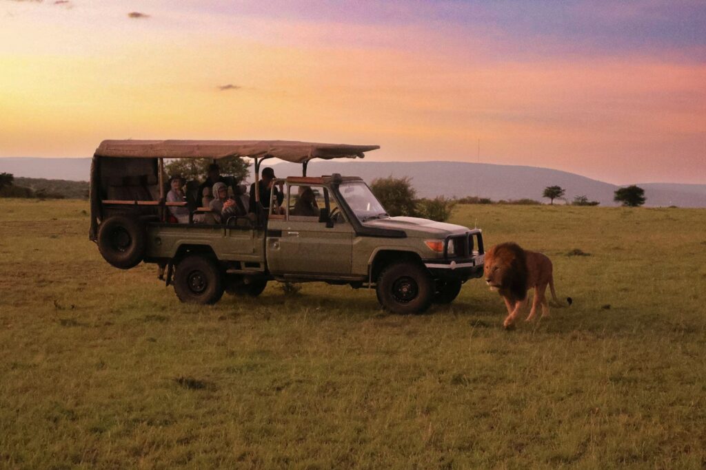 Best Time to Visit Africa: Complete Season-by-Season Guide
