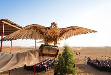 Middle East Desert Safaris