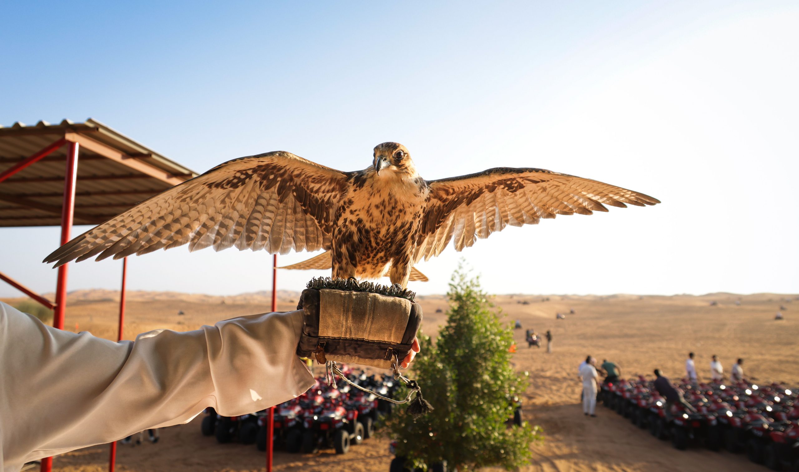 Middle East Desert Safaris
