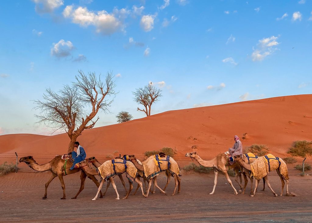 Middle East Desert Safaris